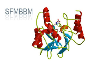 SFMBBM
