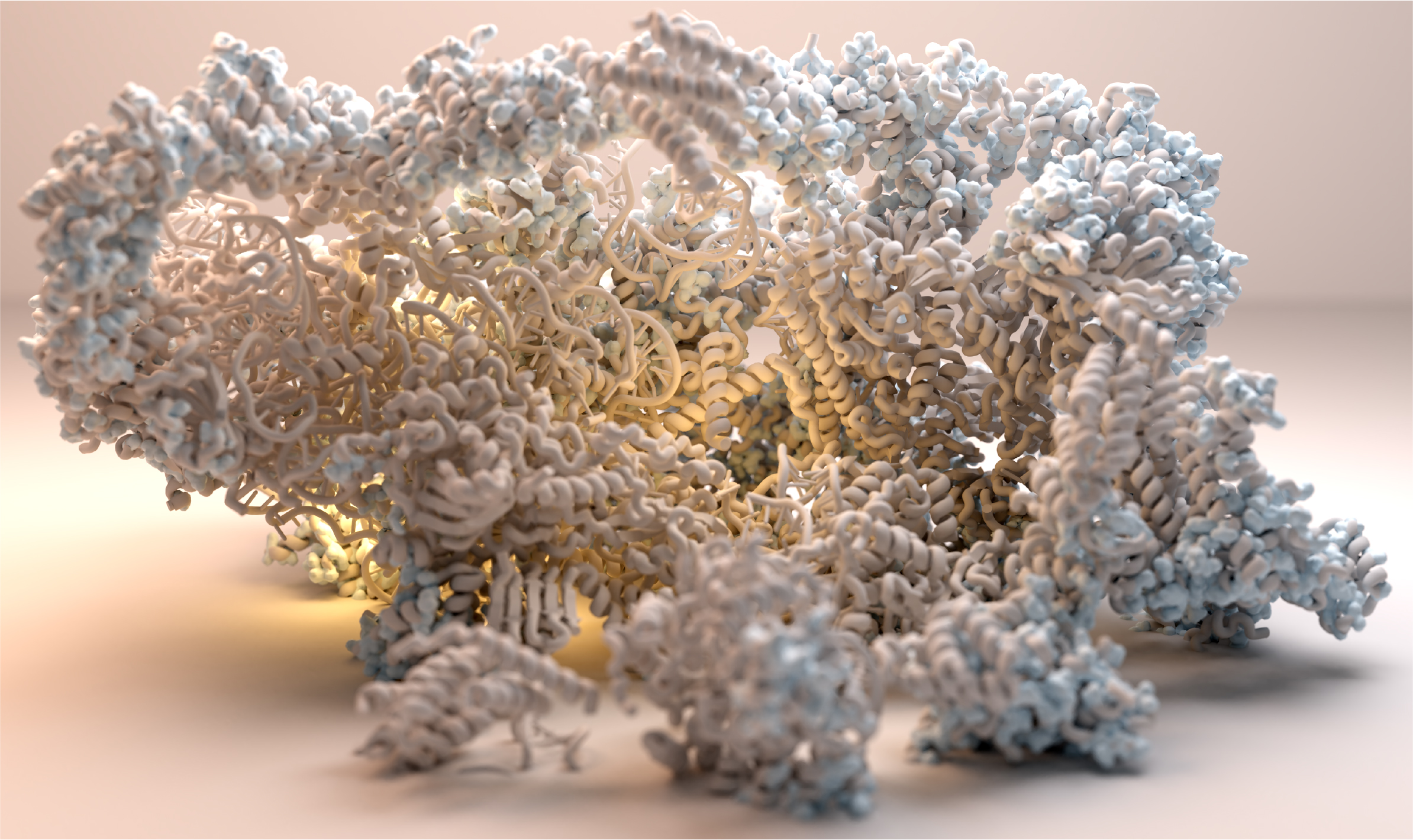 Protein Science visualization